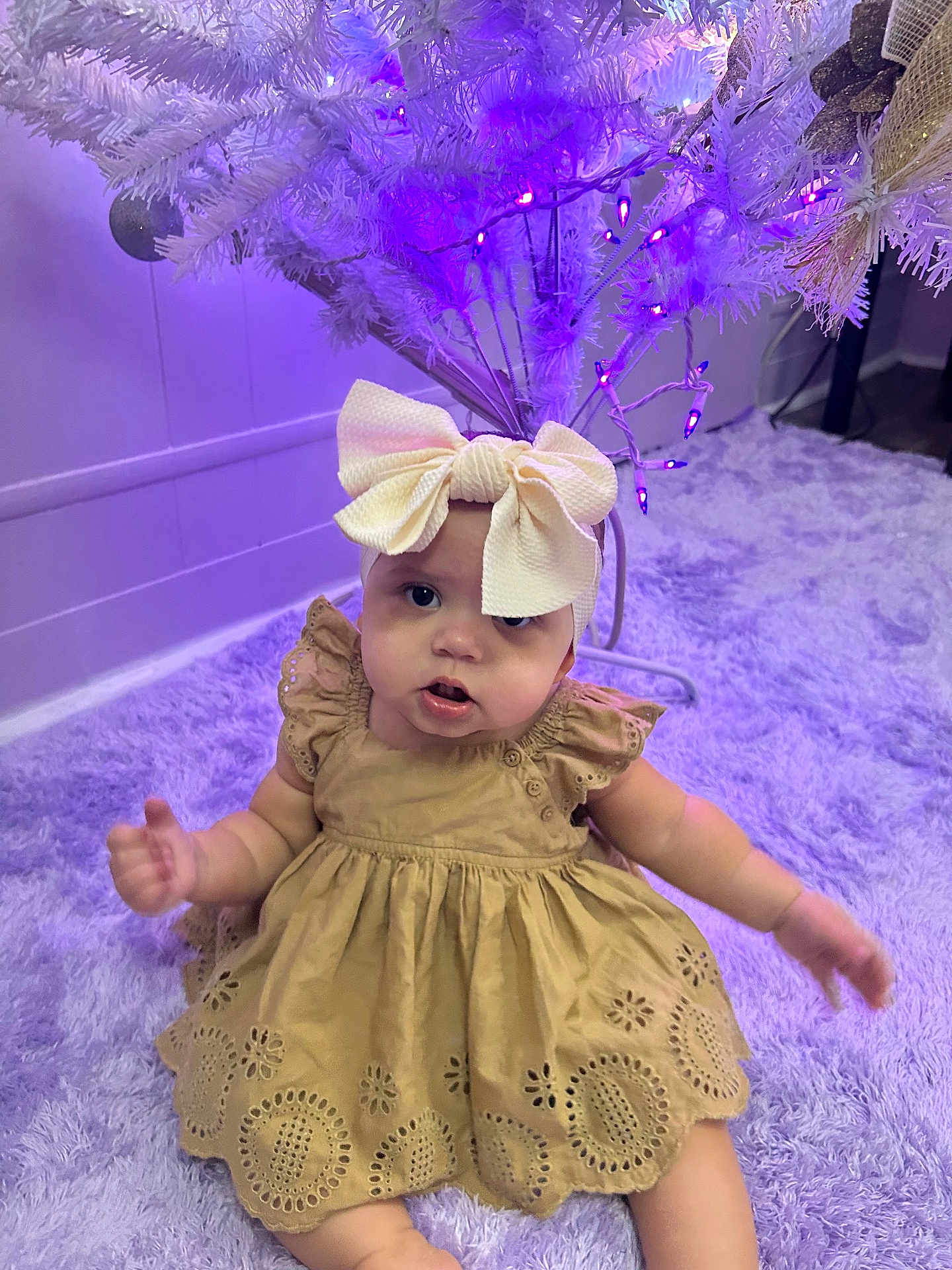 Isabella is registered to the contest to win money with this photo: baby, child, infant, headband, bow, dress, purple_lighting, christmas_tree, white_tree, carpet, plush, indoor, holiday, cute, sitting, decorations, festive, person, portrait, lighting
