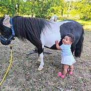 Malya a rejoint le concours — aidez-le/la à gagner de superbes lots ! animal, baby, child, curly_hair, farm, friendship, grass, happy, nature, outdoor, pet, playful, pony, shirt, shoes, shorts, summer, sunlight, toddler, trees