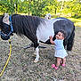 animal, baby, child, curly_hair, farm, friendship, grass, happy, nature, outdoor, pet, playful, pony, shirt, shoes, shorts, summer, sunlight, toddler, trees
