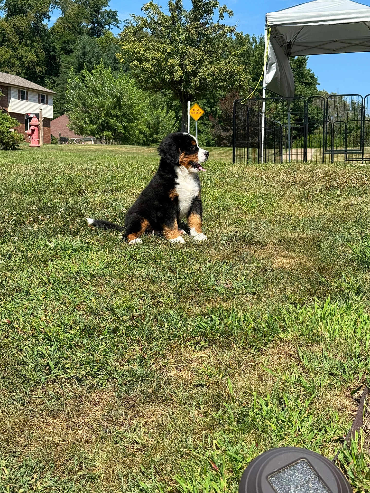 Finn