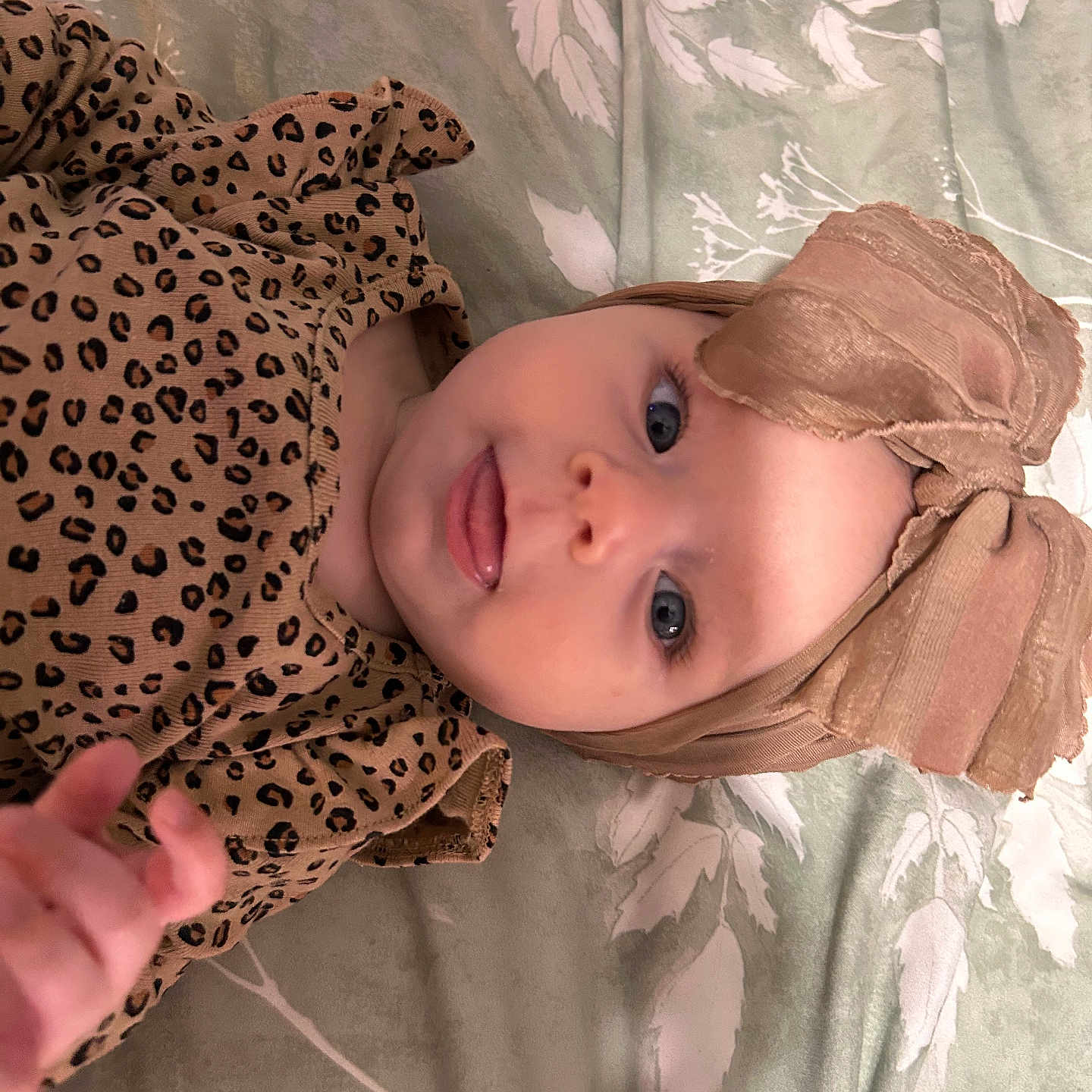 Emereigh joined the competition — help win amazing prizes! baby, blanket, blue_eyes, bow, child, clothing, cute, face, headband, indoor, infant, leopard_print, lying_down, pattern, person, playful, portrait, smile, soft_texture, tongue