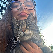 Niouki a rejoint le concours — aidez-le/la à gagner de superbes lots ! animal, cat, closeup, daylight, expression, face, feline, glasses, greenery, hand, holding, long_hair, nature, outdoor, person, pet, portrait, sky, tabby_cat, young_adult