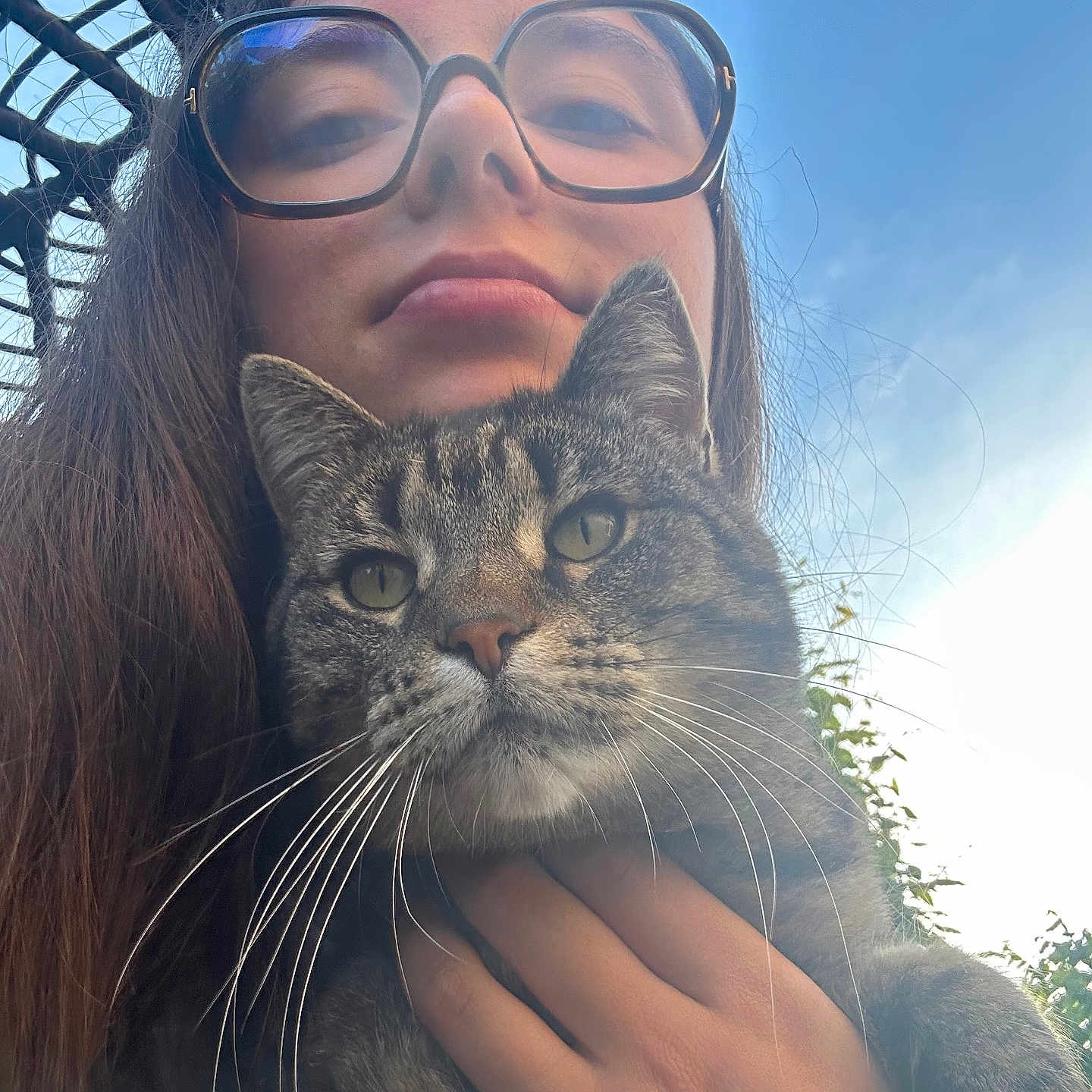 Niouki a rejoint le concours — aidez-le/la à gagner de superbes lots ! animal, cat, closeup, daylight, expression, face, feline, glasses, greenery, hand, holding, long_hair, nature, outdoor, person, pet, portrait, sky, tabby_cat, young_adult