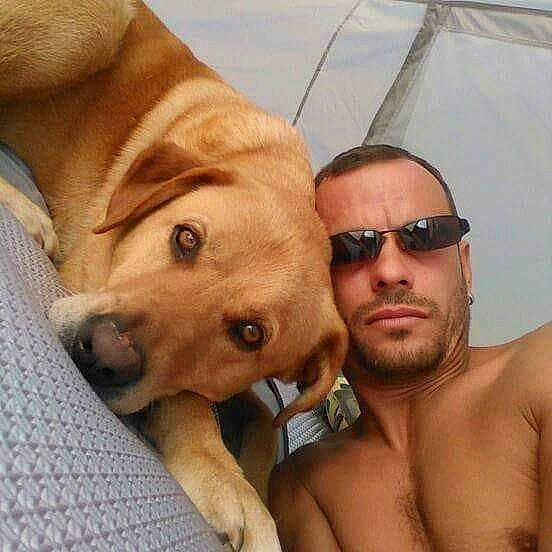 Despe a rejoint le concours — aidez-le/la à gagner de superbes lots ! broholmer, canidae, carnivore, chest, companion_dog, dog, dog_breed, fawn, labrador_retriever, male, muscle, photography, puppy_love, rhodesian_ridgeback, selfie, sporting_group