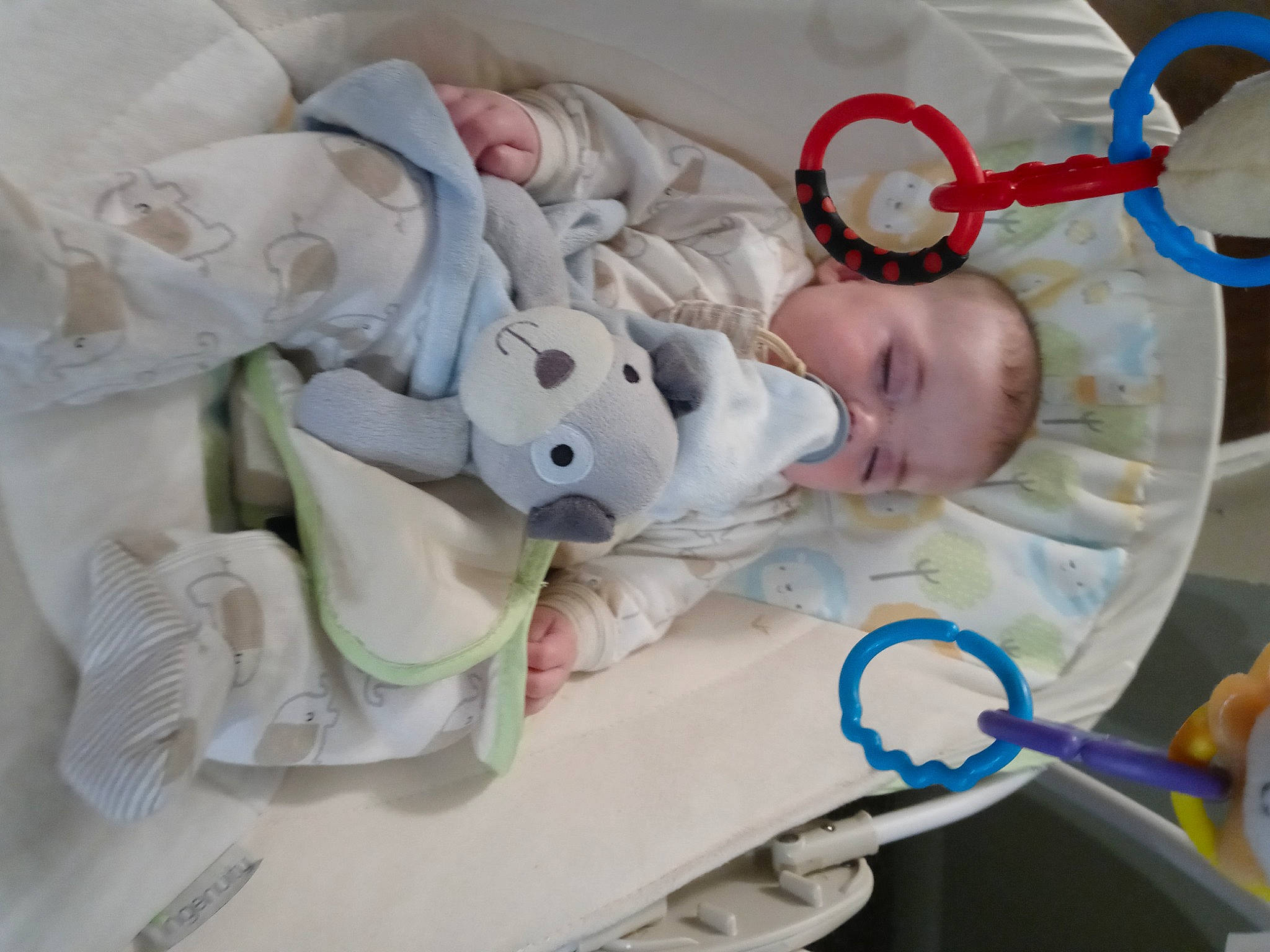 Camren is registered to the contest to win money with this photo: baby, baby_products, baby_safety, baby_sleeping, baby_toddler_clothing, baby_toys, bed, bedding, bedtime, child, comfort, eye, iris, linens, person, room, sleep, textile, toddler, toy