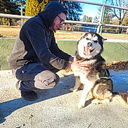 Gunnar is registered to the contest to win money with this photo: man, dog, husky, pet, smiling, hoodie, glasses, outdoor, sunlight, happy, park, trees, fence, casual_clothing, pavement, daylight, nature, canine, friendship, crouching