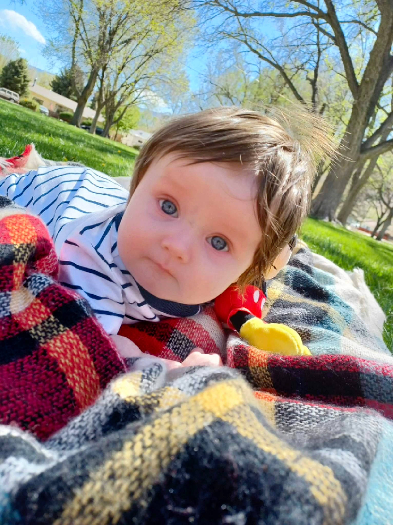 Ivan is registered to the contest to win money with this photo: baby, baby_toddler_clothing, blond, child, doll, fawn, grass, happy, leisure, linens, pattern, person, plaid, plant, sky, spring, toddler, toy, tree, wood