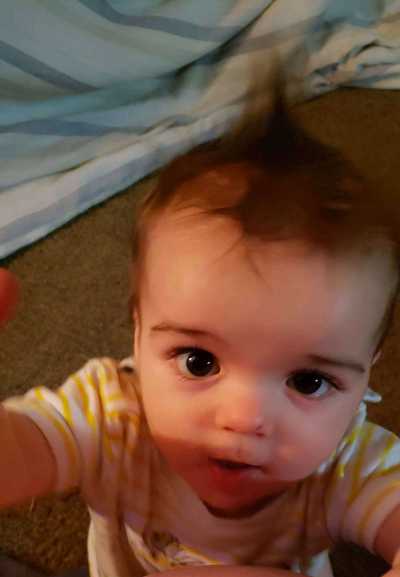 Shawn Jr is registered to the contest to win money with this photo: baby, brown_hair, cheek, child, chin, close_up, ear, eye, eyebrow, eyelash, face, forehead, head, iris, lip, mouth, nose, organ, person, skin