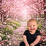 baby, child, smiling, sitting, black_clothing, polka_dots, flower_path, pink_flowers, cherry_blossoms, spring, outdoor, nature, cute, happy, portrait, infant, petals, blossoms, greenery, garden