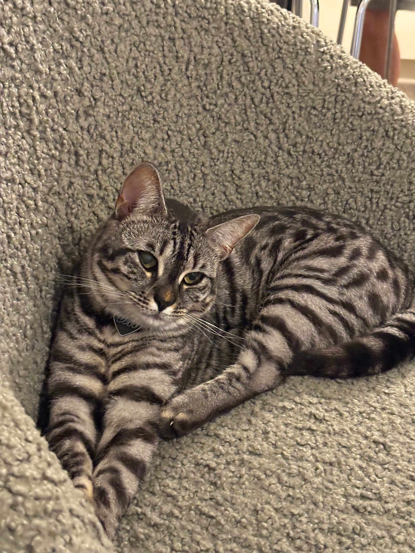 Coco