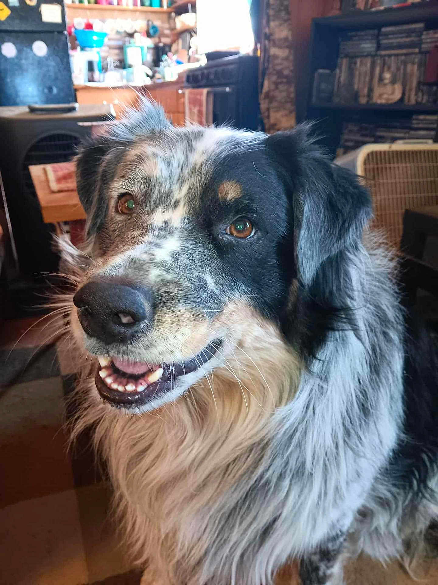 Tucker