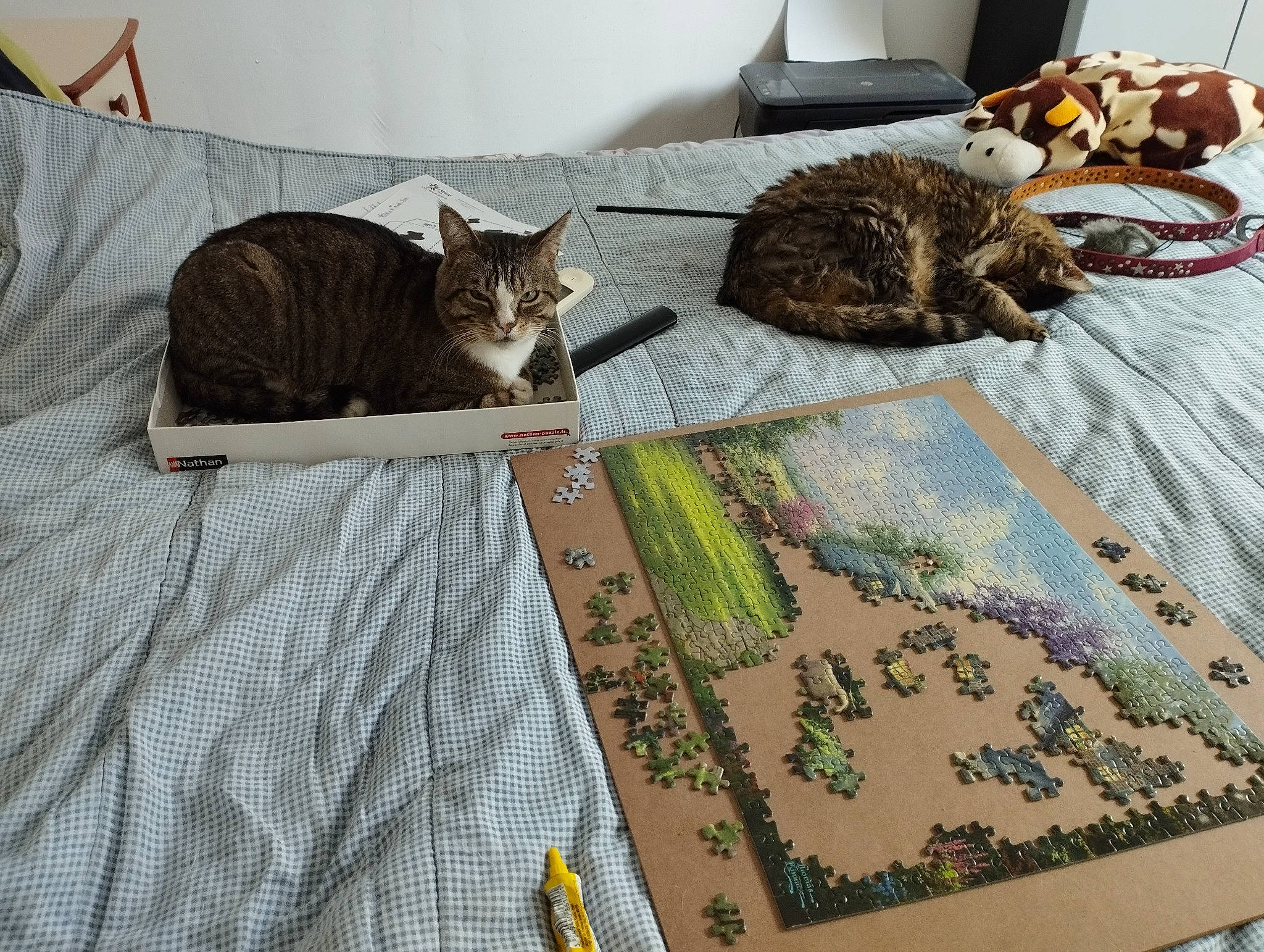 Max a rejoint le concours — aidez-le/la à gagner de superbes lots ! art, bedding, carnivore, carpet, cat, comfort, domestic_short_haired_cat, felidae, flooring, fur, grass, grey, linens, pattern, room, small_to_medium_sized_cats, tablecloth, tail, whiskers, wood