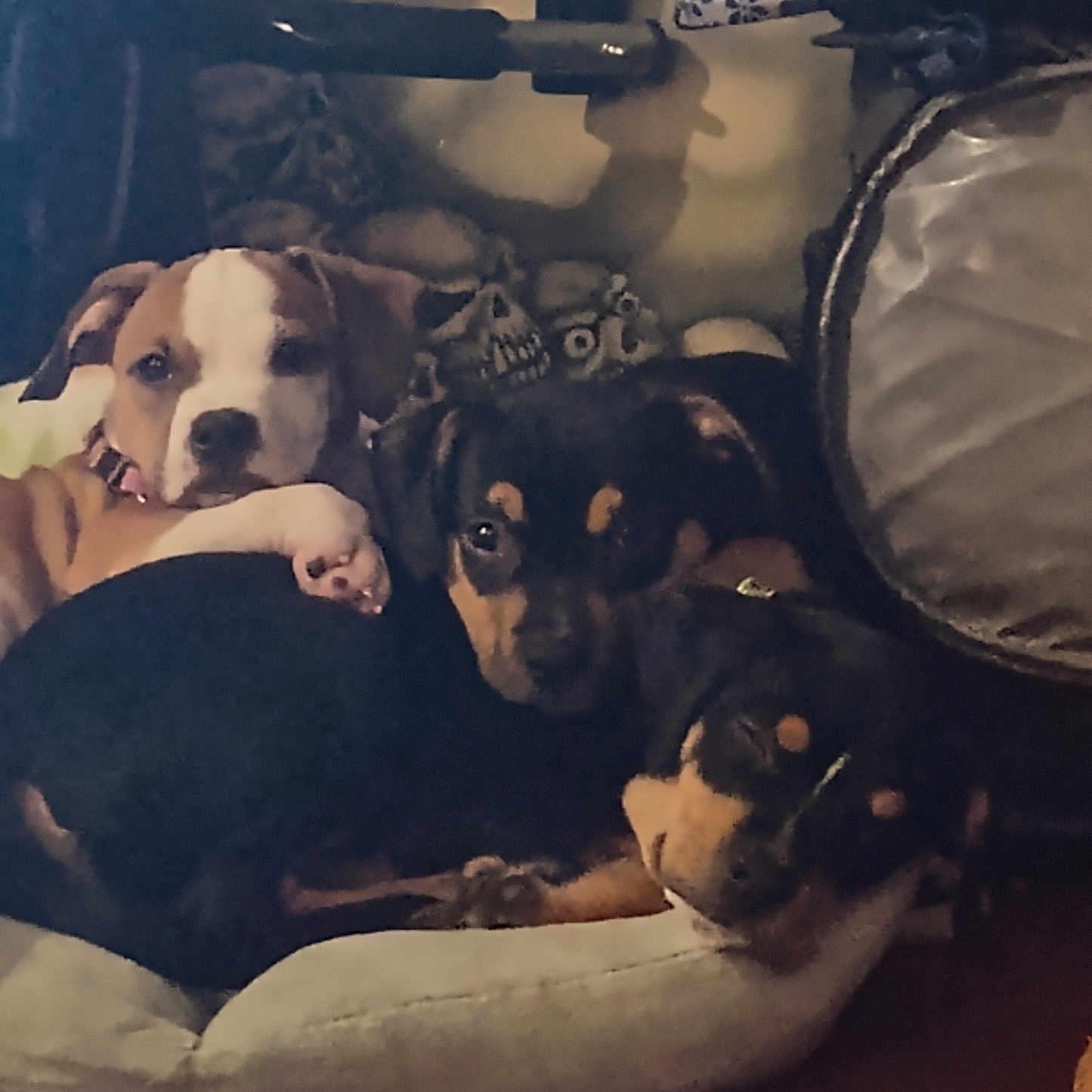 Penelope Remi Gunner