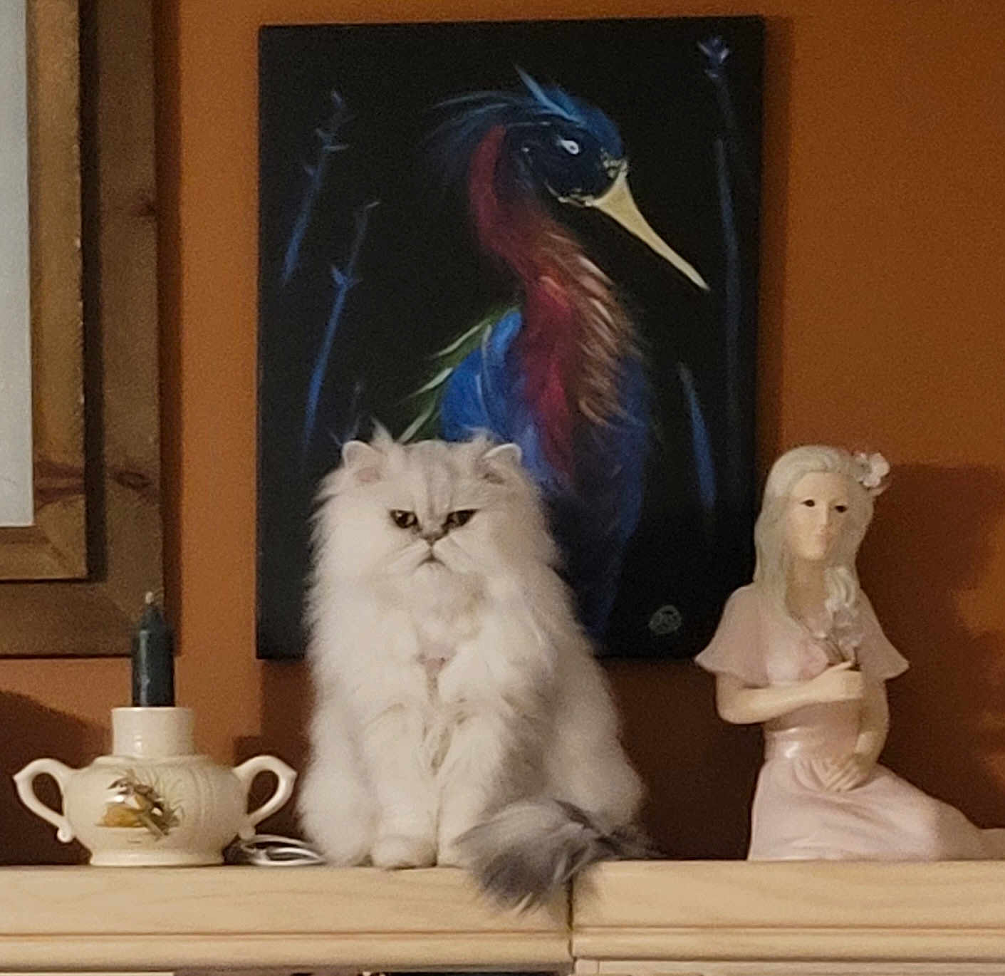 Hagrid is registered to the contest to win money with this photo: cat, fluffy, white_cat, sitting, painting, bird_painting, porcelain_figurine, shelf, indoor, decor, ornament, animal, pet, furniture, still_life, home, expression, cute, feline, art