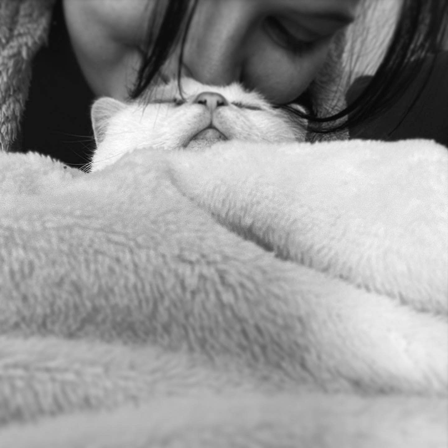 Patmolle participe au concours pour gagner de l'argent avec cette photo : beard, black, carnivore, cat, close_up, comfort, elbow, eyelash, felidae, fur, gesture, grey, happy, jaw, lip, monochrome, monochrome_photography, nose, small_to_medium_sized_cats, whiskers