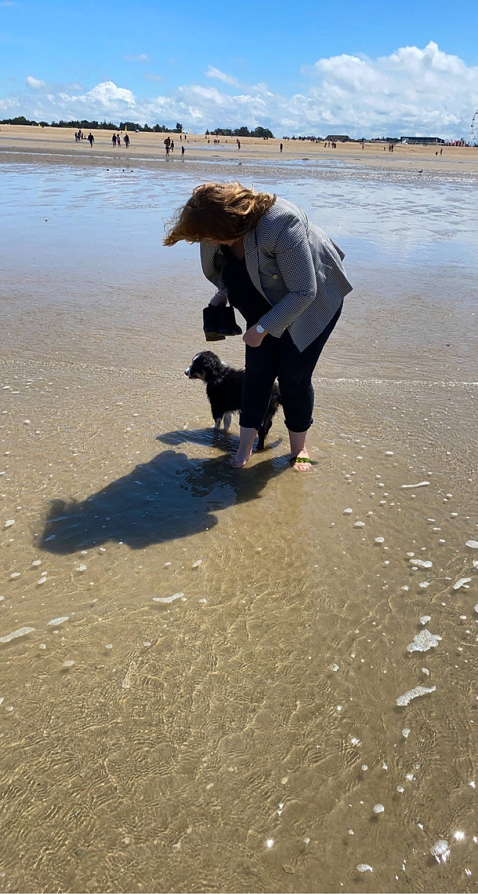 Snow participe au concours pour gagner de l'argent avec cette photo : beach, body_of_water, carnivore, cloud, coast, coastal_and_oceanic_landforms, companion_dog, dog, dog_breed, fawn, fun, lake, landscape, sand, shore, sky, vertebrate, water, wind_wave, wood