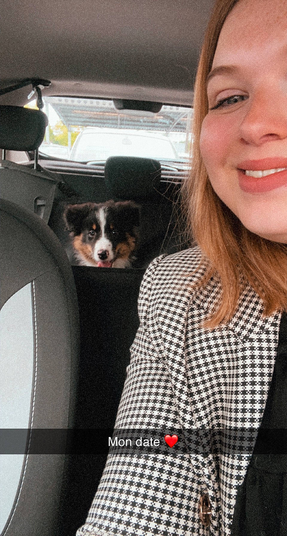 Snow participe au concours pour gagner de l'argent avec cette photo : auto_part, automotive_design, automotive_tire, car, carnivore, companion_dog, dog, dog_breed, eyewear, happy, motor_vehicle, pattern, plaid, smile, snout, street_fashion, t_shirt, tartan, vehicle_door, white