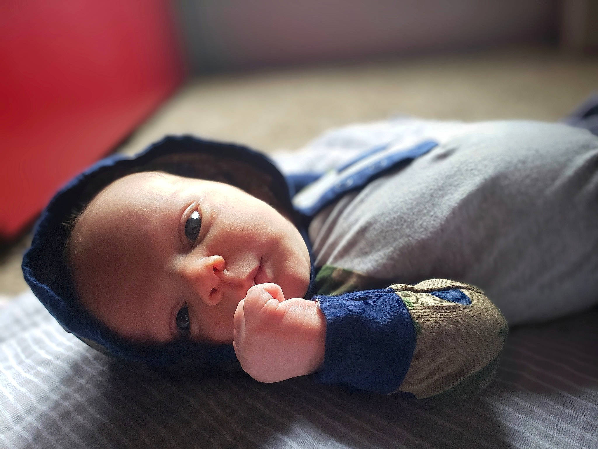 Blaine joined the competition — help win amazing prizes! baby, baby_toddler_clothing, cheek, child, comfort, darkness, eyelash, flash_photography, flooring, grass, happy, hardwood, iris, person, portrait_photography, room, sitting, toddler, wood