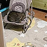 cat, tabby_cat, baby_rocker, cushion, nursery, rug, floor, wooden_floor, furniture, sleeping, indoor, home, animal, pet, cute, cozy, resting, paw, striped, curled_up