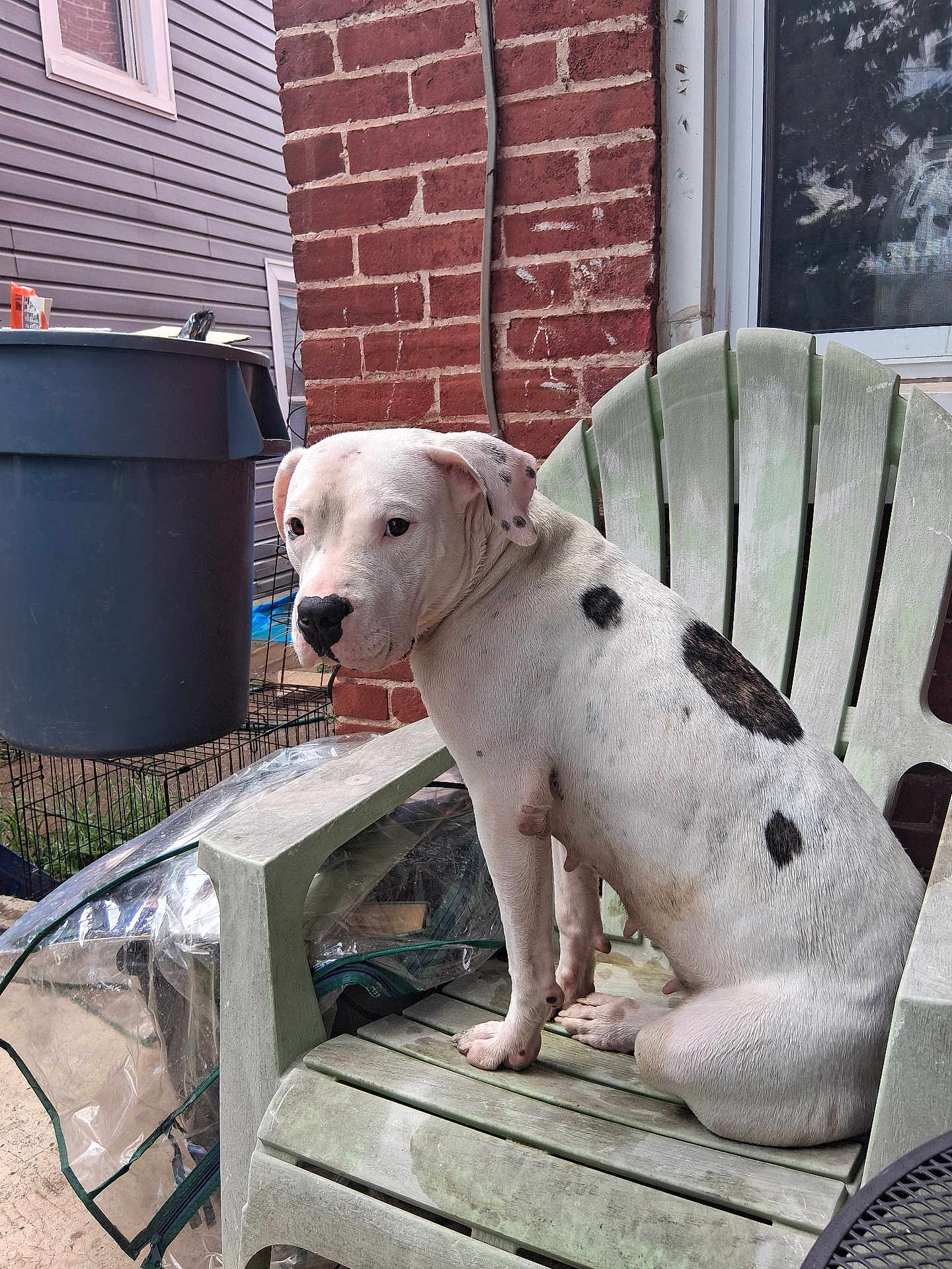 Nyla