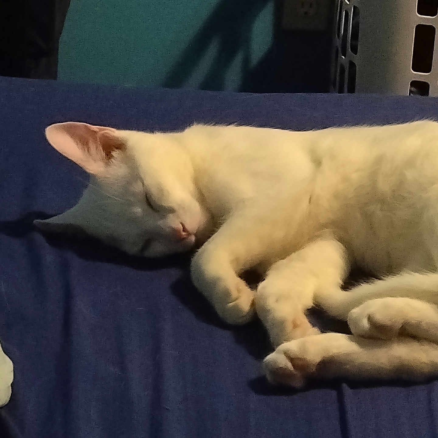 Casper