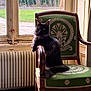 animal, black_cat, cat, chair, curious, daylight, decor, embroidery, floor, fluffy, furniture, green, indoor, looking, pet, radiator, relaxed, vintage, window, wood