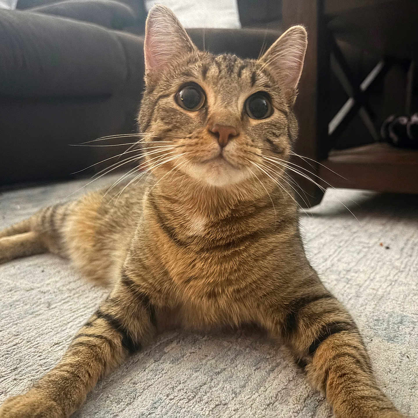 Bowie