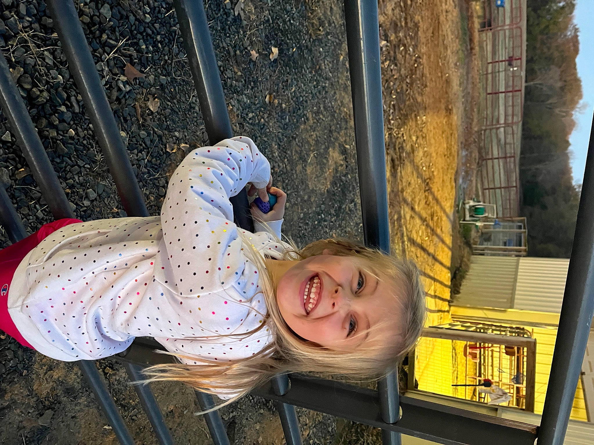 Natalie is registered to the contest to win money with this photo: child, electric_blue, eye, fence, fun, happy, joy, leisure, metal, person, smile, tail, tree, wood