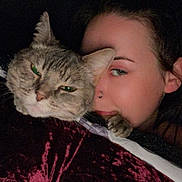 Piper is registered to the contest to win money with this photo: animal, blanket, cat, close_up, comfort, cozy, cuddling, dark_background, expression, face, fur, head, indoor, nose_ring, person, pet, portrait, relaxed, resting, snuggling