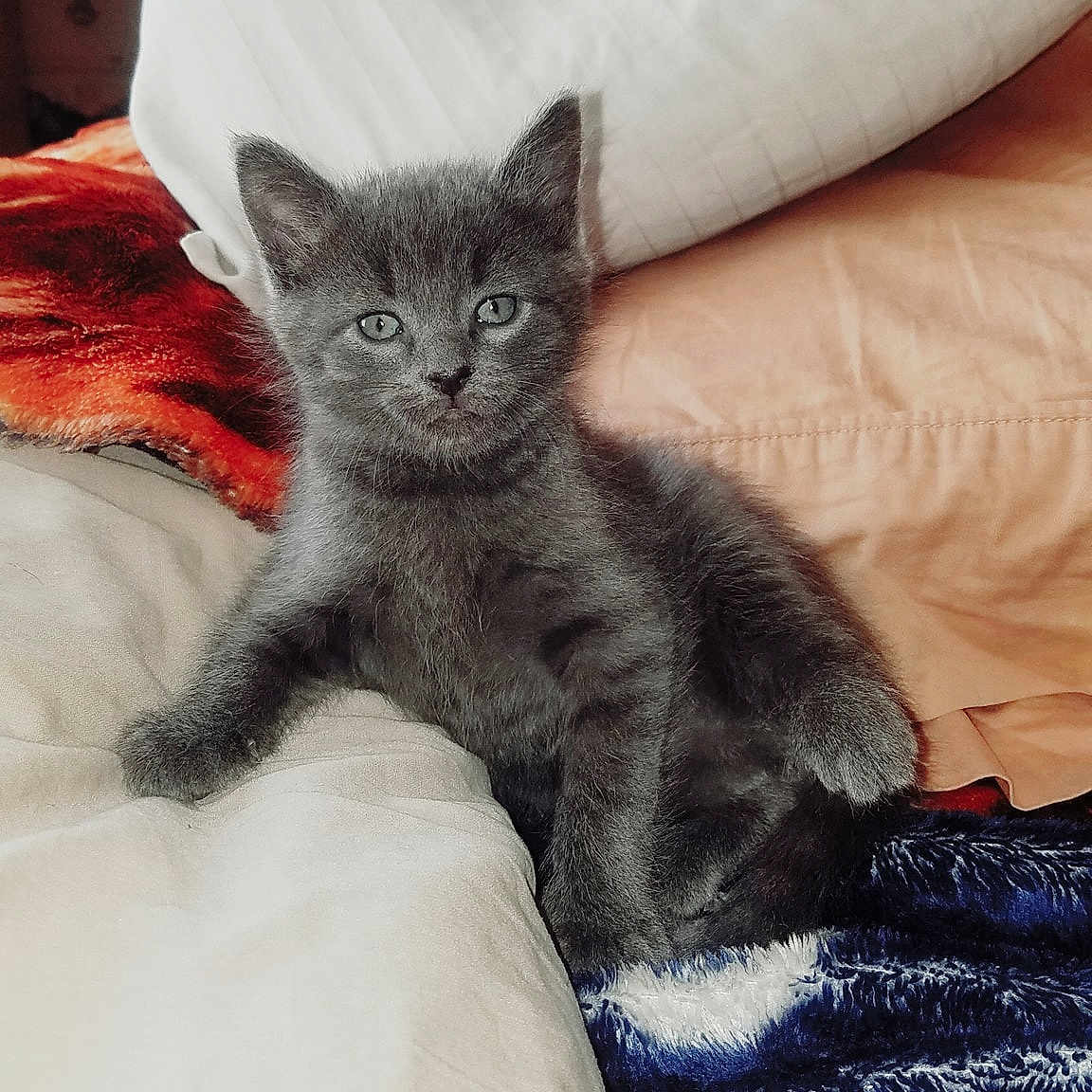 Smokey Jones