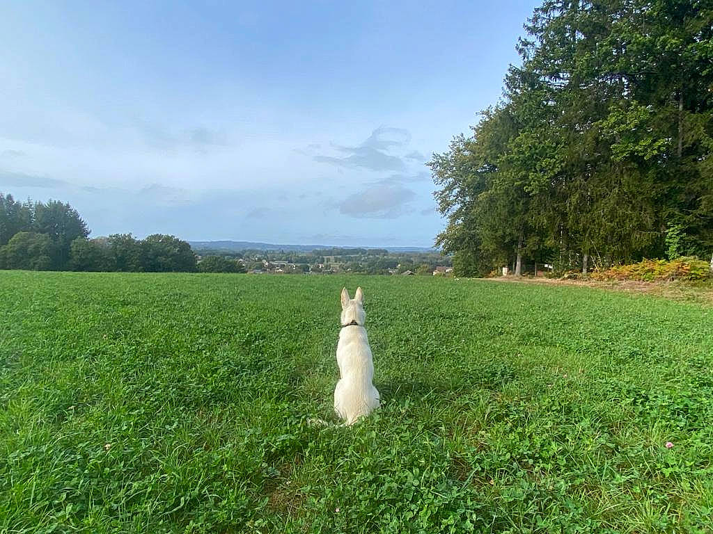 Utah a rejoint le concours — aidez-le/la à gagner de superbes lots ! agriculture, cloud, field, grass, grassland, groundcover, happy, horizon, landscape, lawn, meadow, natural_landscape, pasture, people_in_nature, plant, plantation, prairie, shrub, sky, tree