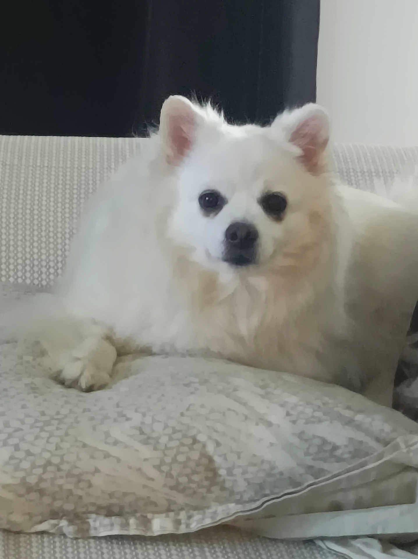 Mia