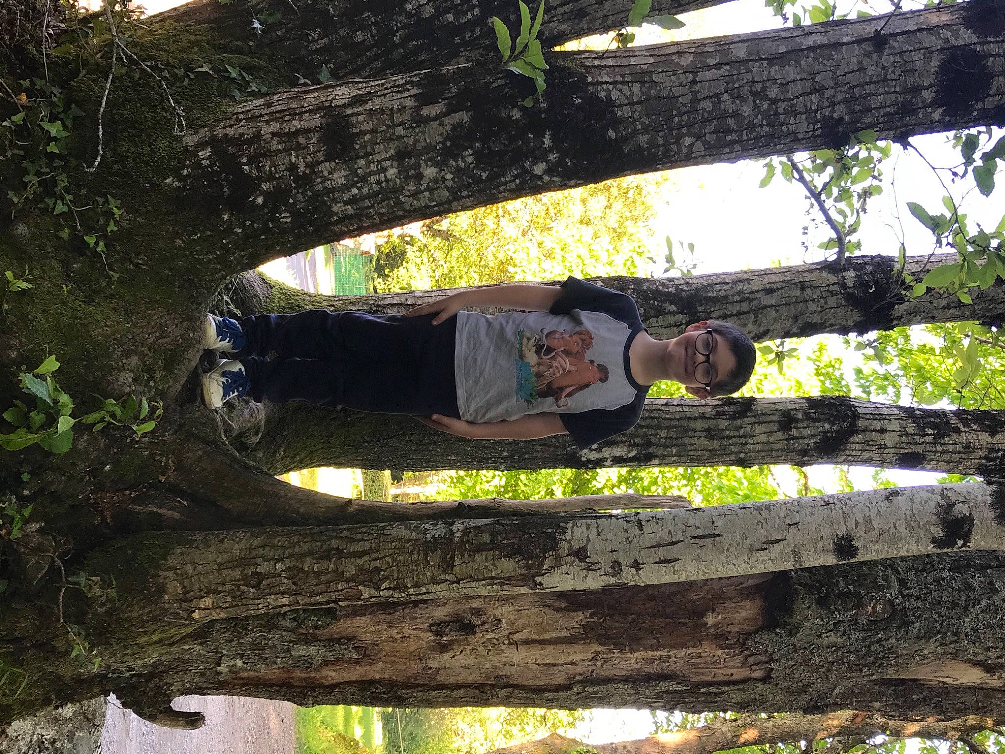 Donovann participe au concours pour gagner de l'argent avec cette photo : biome, botany, branch, forest, joy, jungle, leaf, leisure, natural_environment, nature, people_in_nature, person, plant, shade, spring, tints_and_shades, tree, trunk, vegetation, wilderness