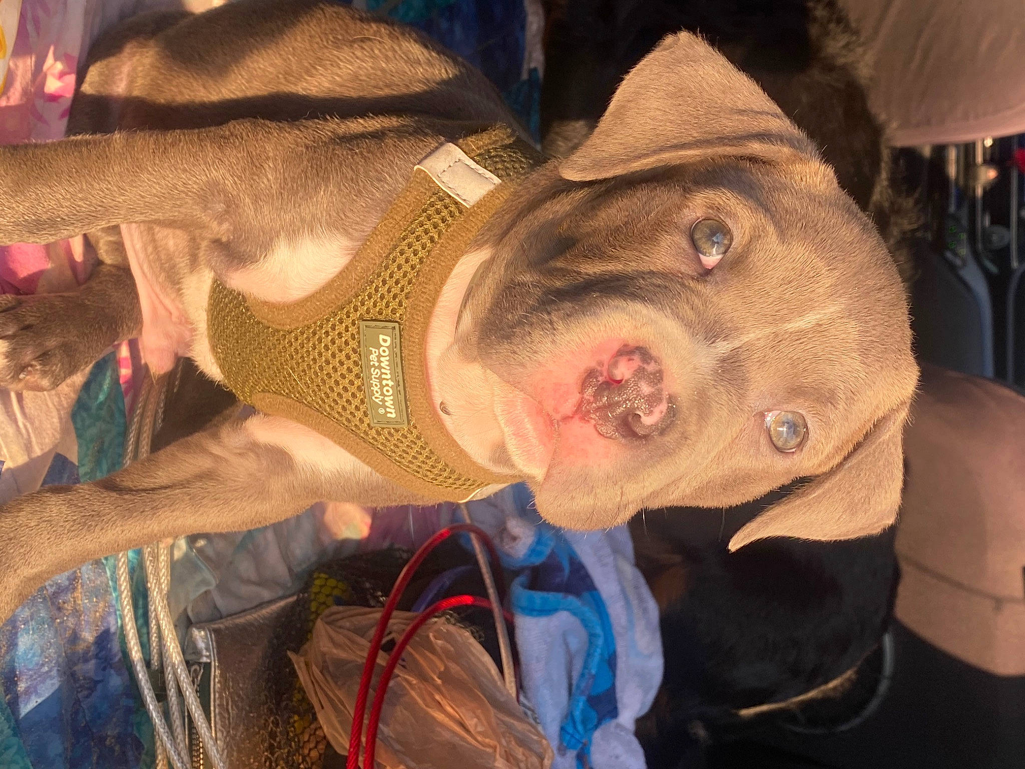 Hunter is registered to the contest to win money with this photo: art, cool, fun, selfie