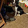 Millie