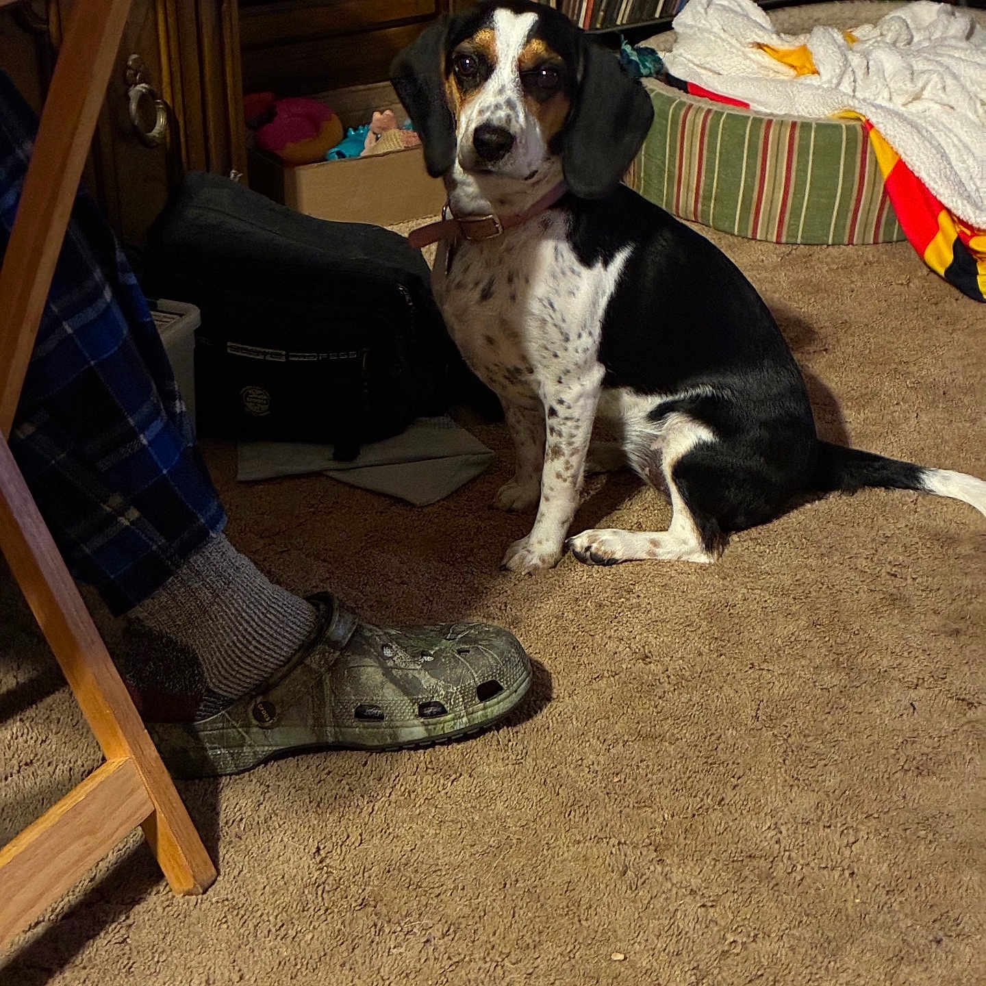 Millie