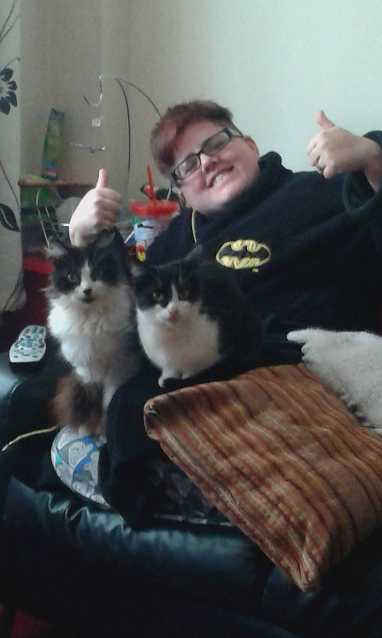 Cleopatra joined the competition — help win amazing prizes! carnivoran, cat, cat_like_mammal, joy, kitten, mammal, person, small_to_medium_sized_cats, vertebrate, whiskers