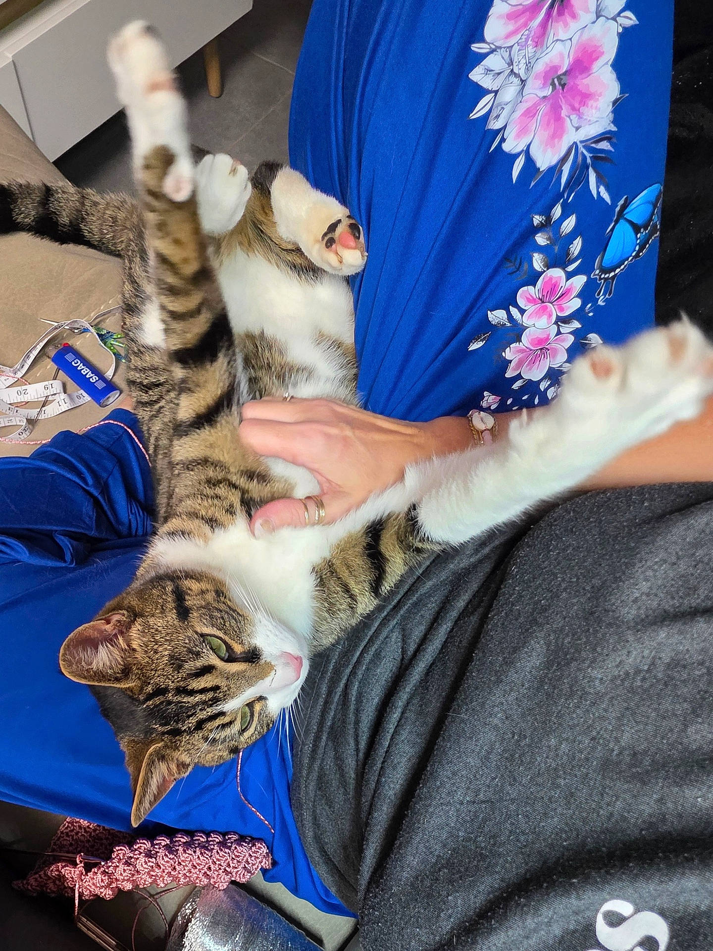 belly, blue_fabric, cat, close_up, couch, floral_dress, green_eyes, human_hand, indoor, jewelry_ring, knitting, lap, measuring_tape, paw, pet, pink_toe_beans, relaxed, striped_fur, tabby_cat, yarn