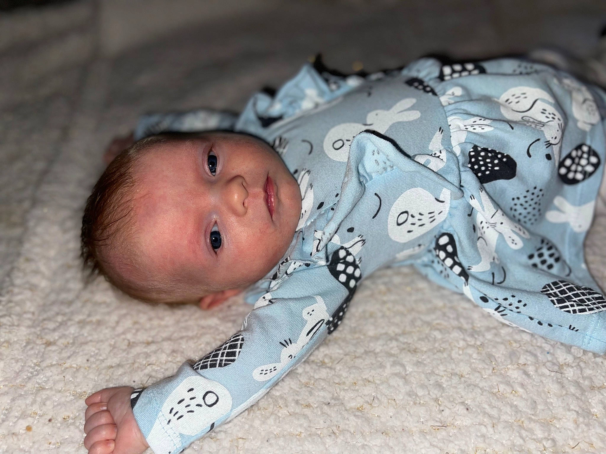 Haisley joined the competition — help win amazing prizes! arm, baby, baby_products, baby_toddler_clothing, carmine, chest, child, comfort, flooring, linens, pattern, person, sitting, sleeve, textile, toddler, wood