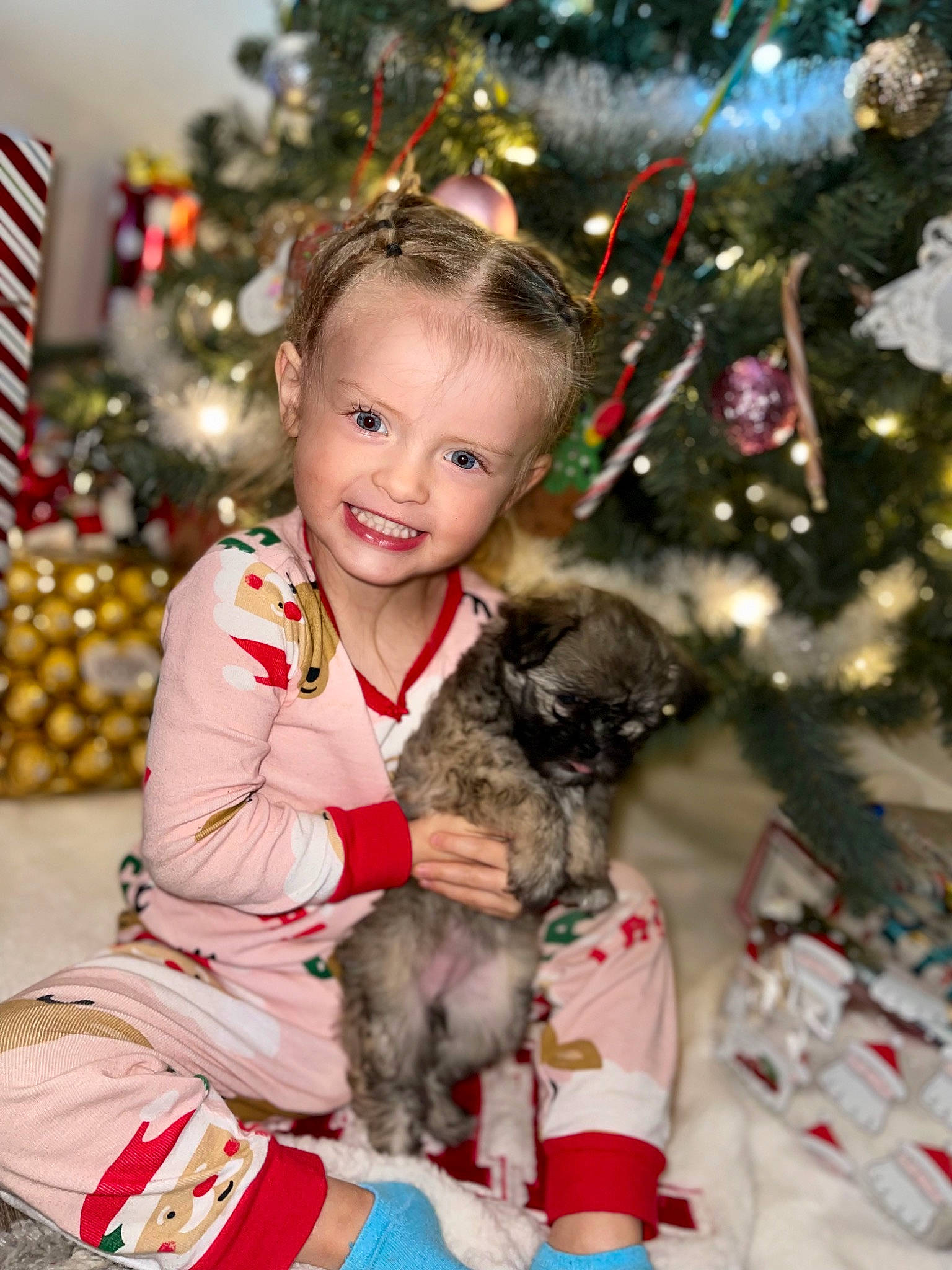 Denver is registered to the contest to win money with this photo: carnivore, child, christmas_decoration, christmas_ornament, christmas_tree, companion_dog, dog, dog_breed, event, face, facial_expression, fawn, fun, happy, head, holiday, holiday_ornament, joy, person, smile