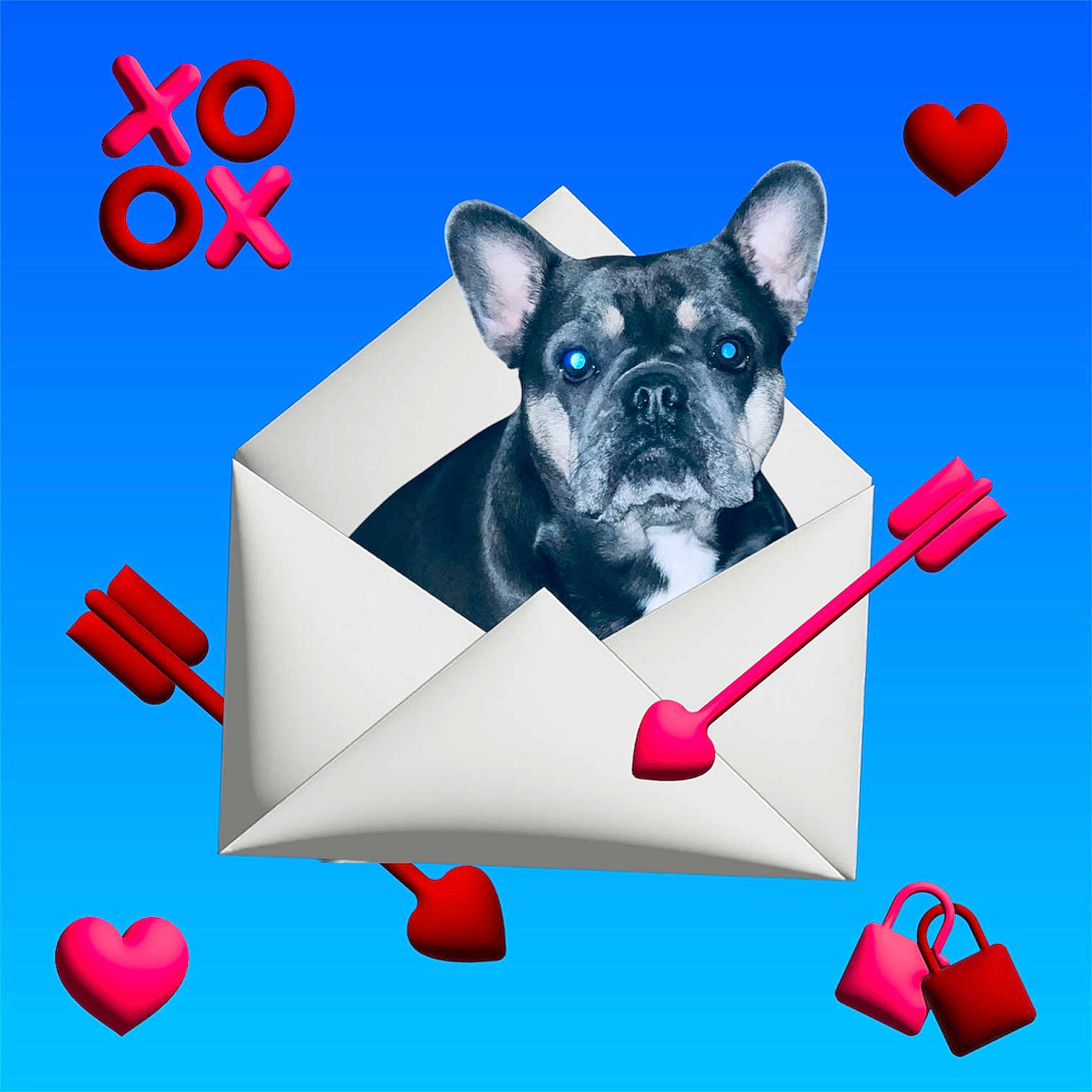 Karley joined the competition — help win amazing prizes! accessories, animal, bag, bostonbull, box, bulldog, canine, cardboard, carton, dog, envelope, frenchbulldog, greetingcard, heart, mail, pet, pitbull, pug, puppy, symbol