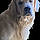 Athos