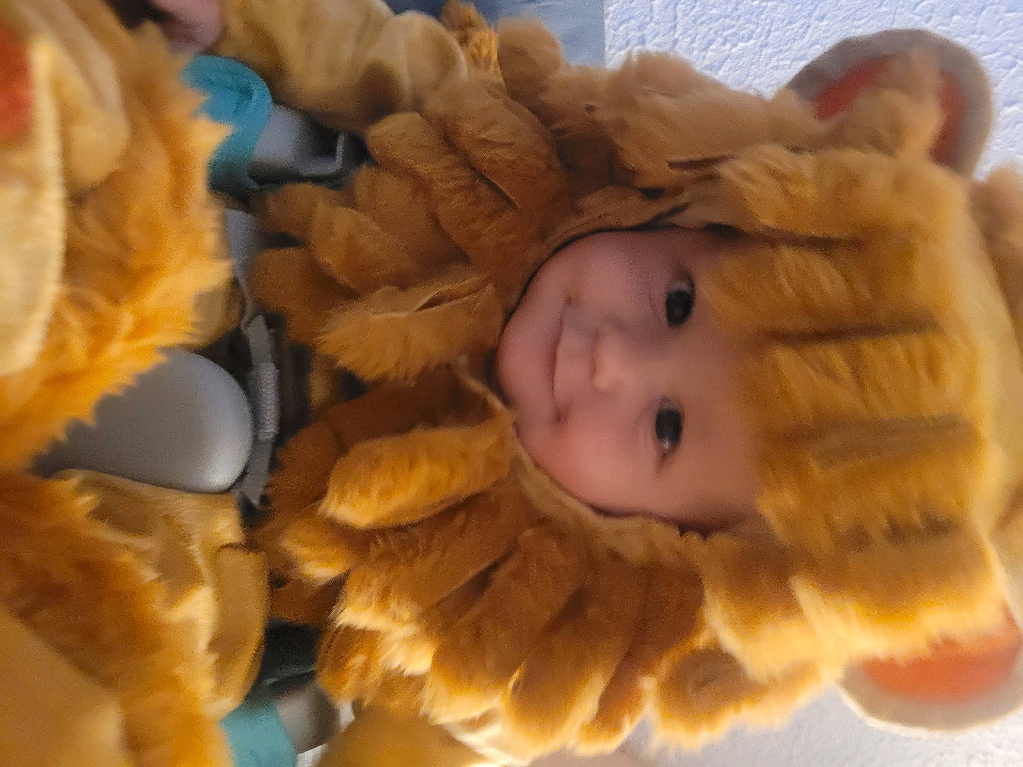 Emilio is registered to the contest to win money with this photo: baby, baby_products, child, comfort, fawn, feather, fun, fur, linens, person, petal, plush, room, stuffed_toy, teddy_bear, textile, toddler, toy, tree, wood