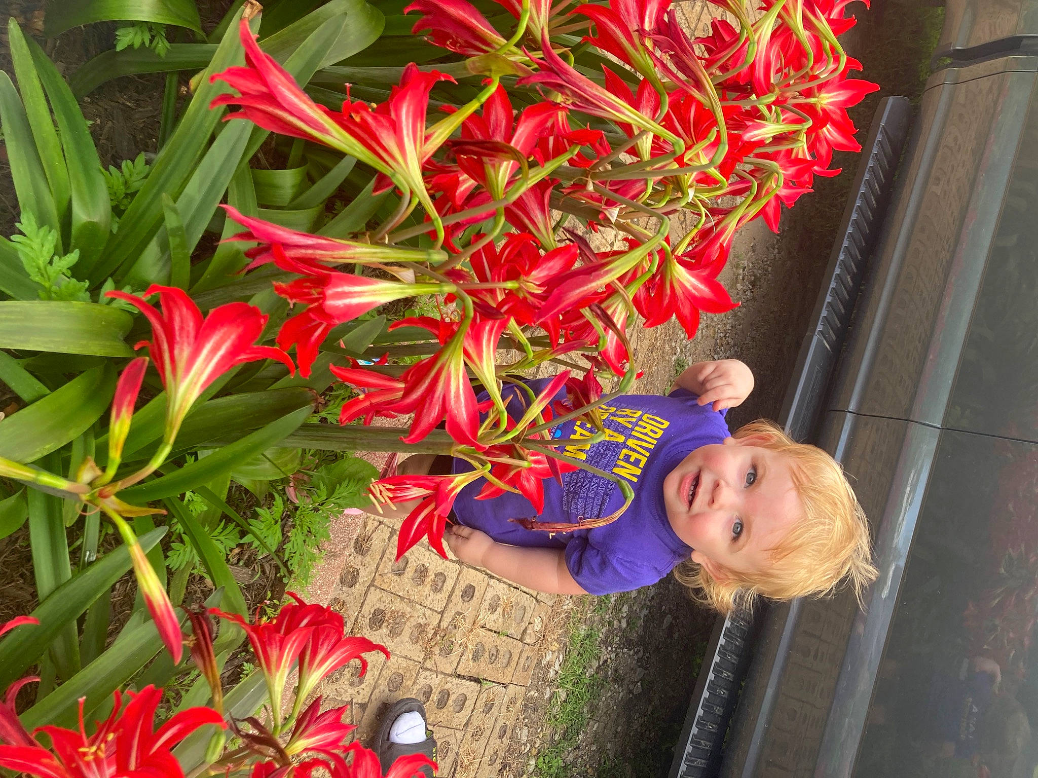 Rhyder is registered to the contest to win money with this photo: annual_plant, botany, carmine, child, flower, flowering_plant, flowerpot, garden, grass, happy, hat, houseplant, leaf, magenta, person, petal, plant, red, smile, terrestrial_plant