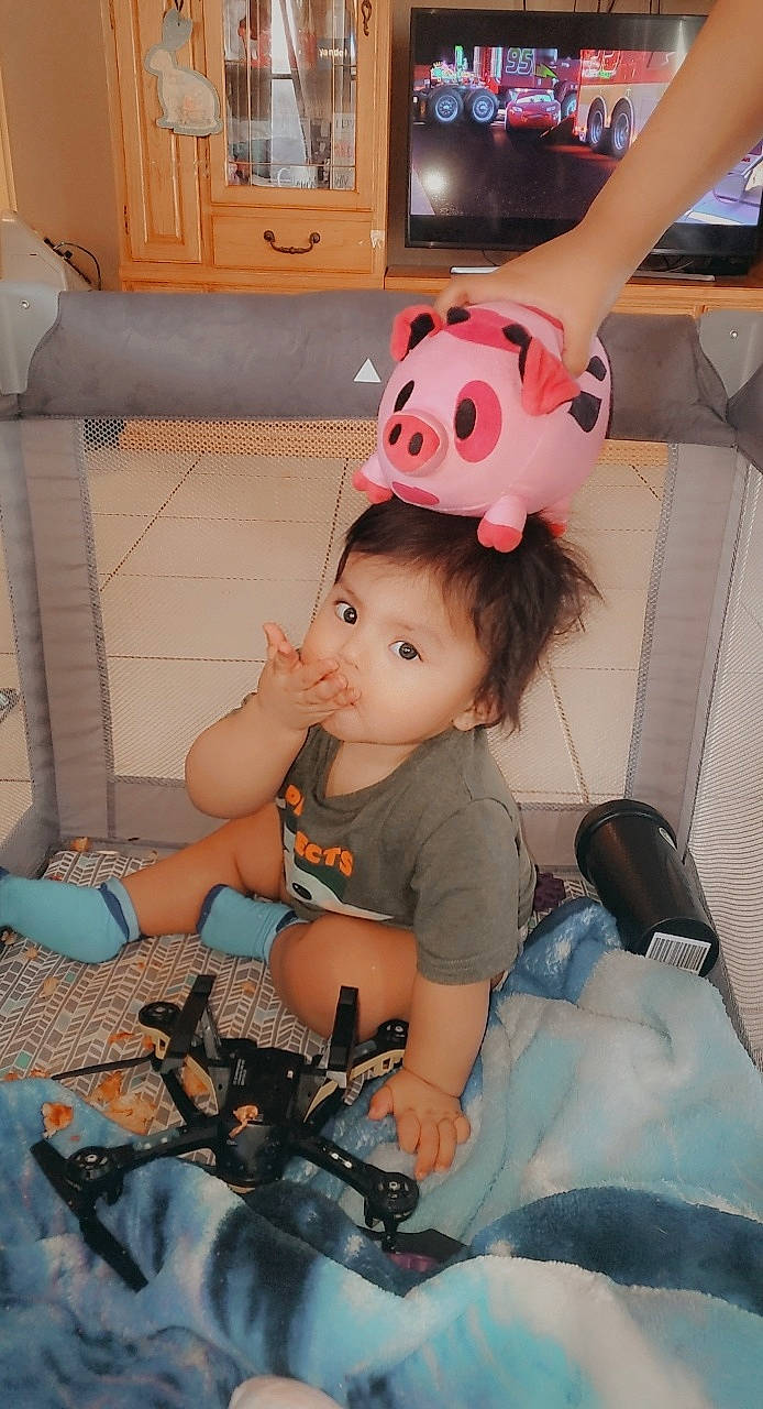 Anubis joined the competition — help win amazing prizes! arm, baby, baby_carriage, baby_products, baby_toddler_clothing, bicycle_frame, bicycle_handlebar, bicycle_tire, child, fun, happy, person, personal_protective_equipment, play, sitting, spoke, t_shirt, tire, toddler, toy