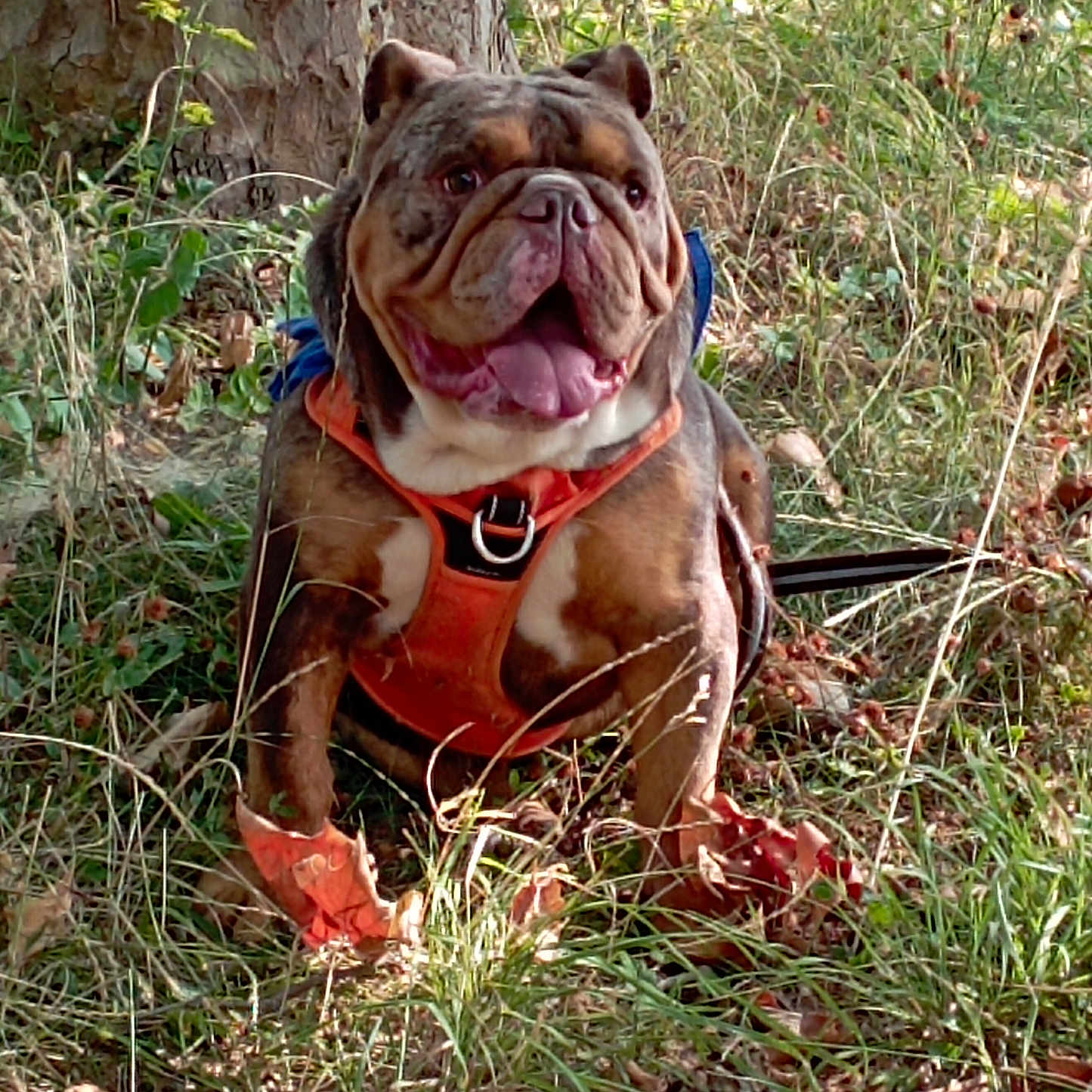 Max
