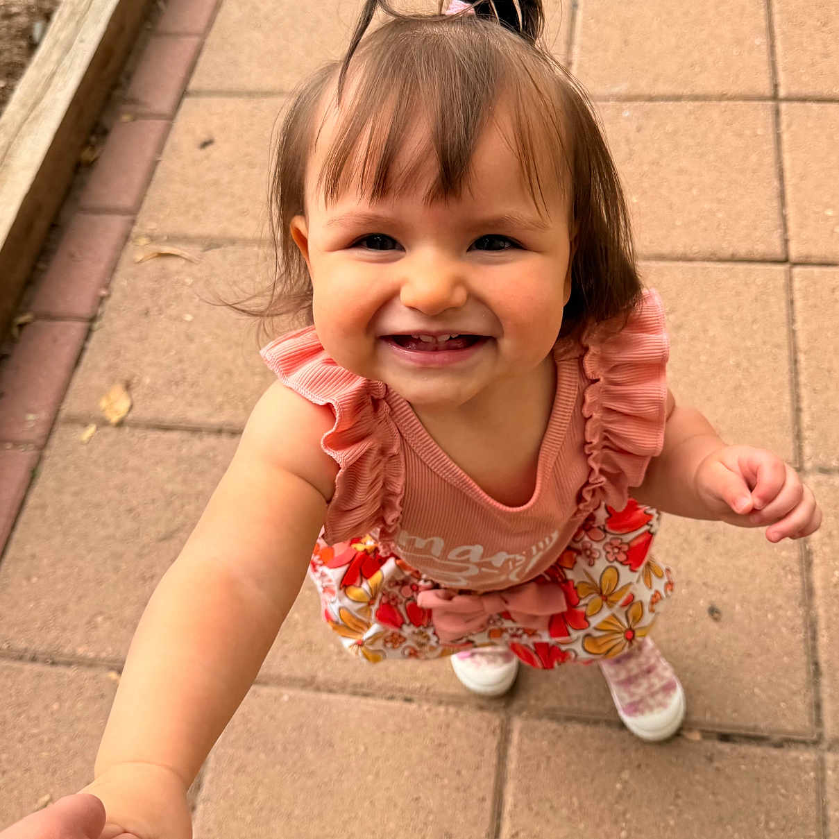 Evangelina