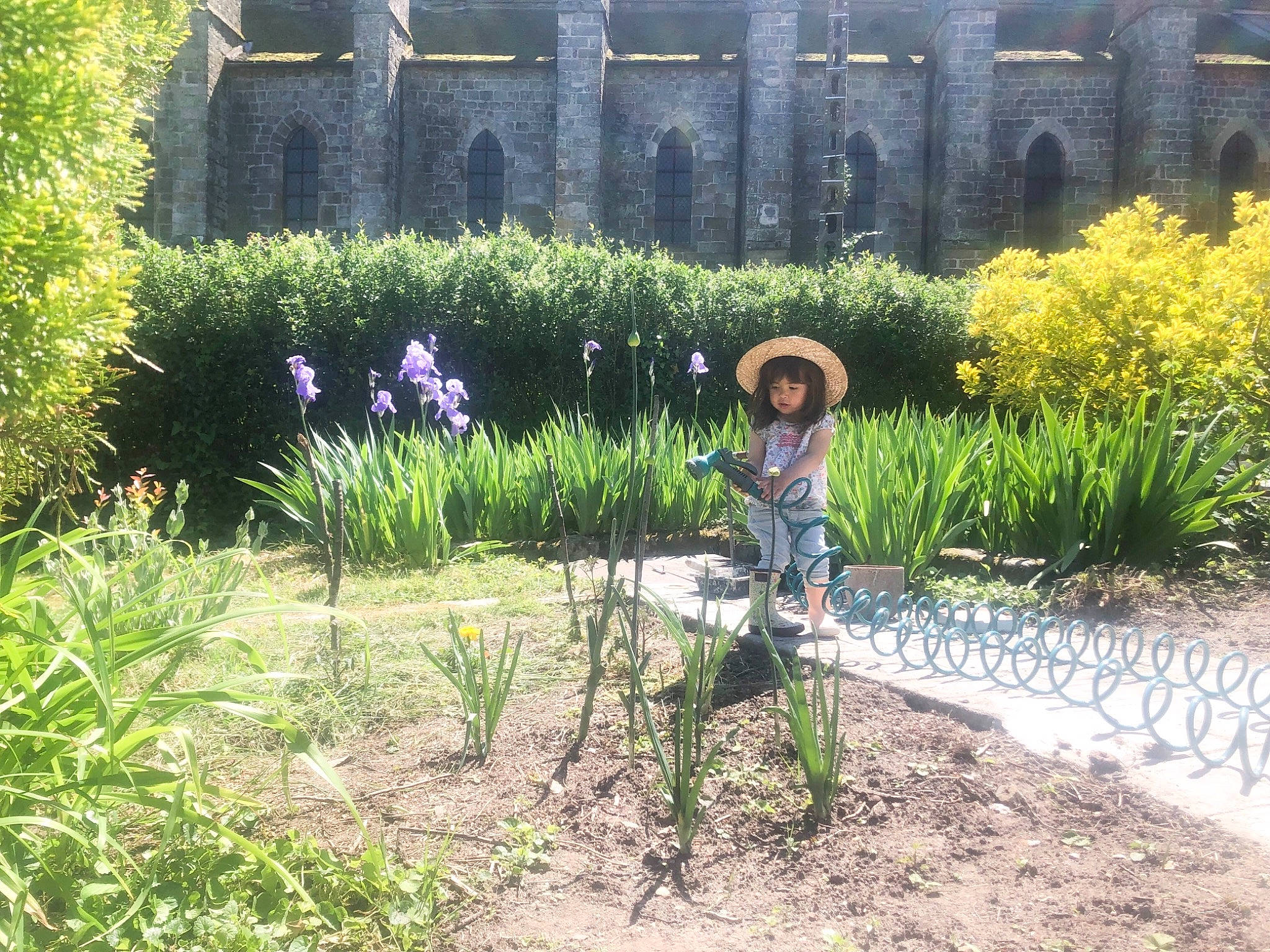 Gisella a rejoint le concours — aidez-le/la à gagner de superbes lots ! botanical_garden, botany, crop, farm, flower, garden, grass, grass_family, herb, metal, person, plant, plantation, shrub, spring