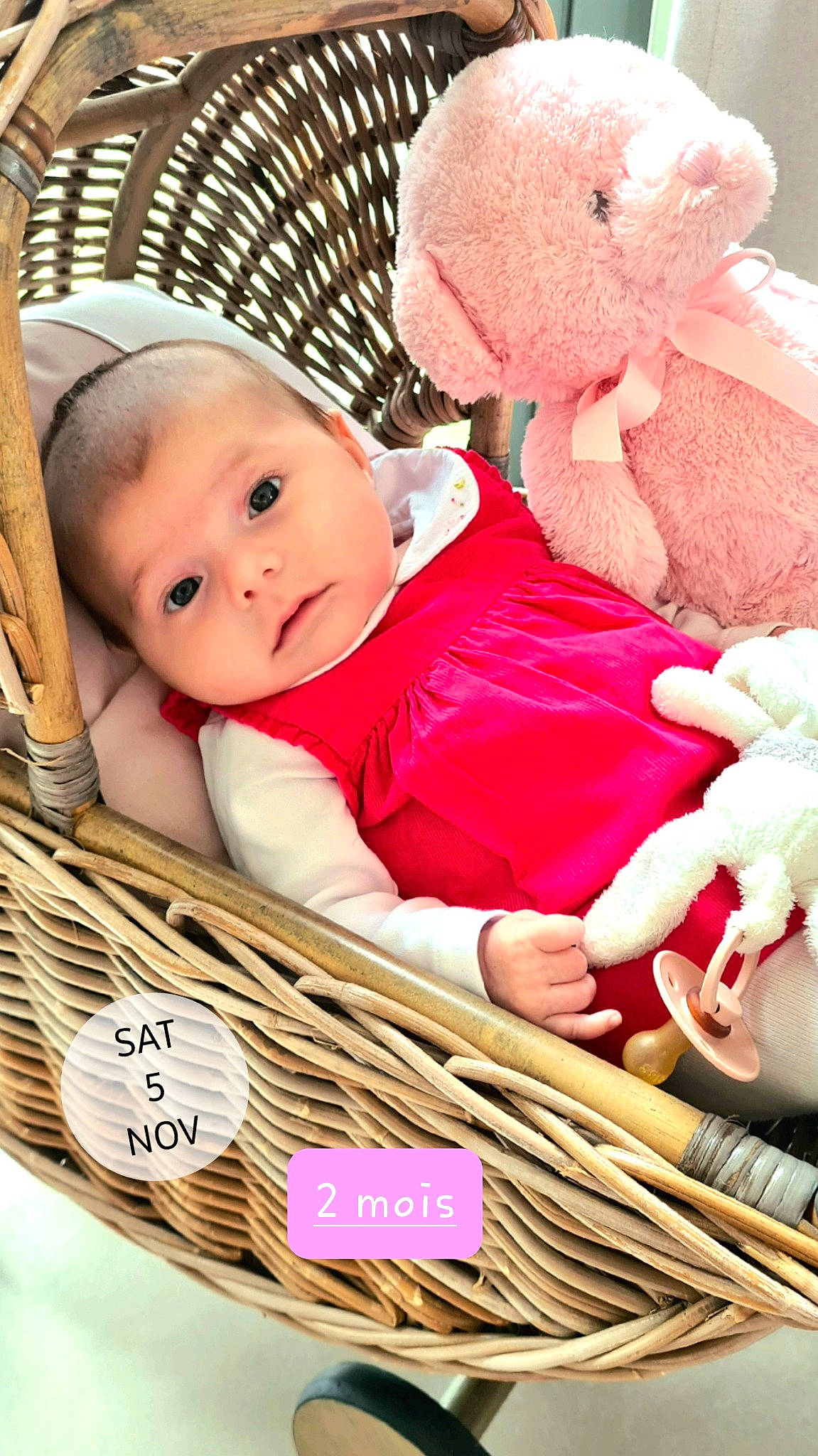 Ambre a rejoint le concours — aidez-le/la à gagner de superbes lots ! baby, baby_products, baby_toddler_clothing, basket, cheek, child, comfort, grass, happy, mammal, organ, person, pink, skin, smile, stuffed_toy, textile, toddler, toy, white