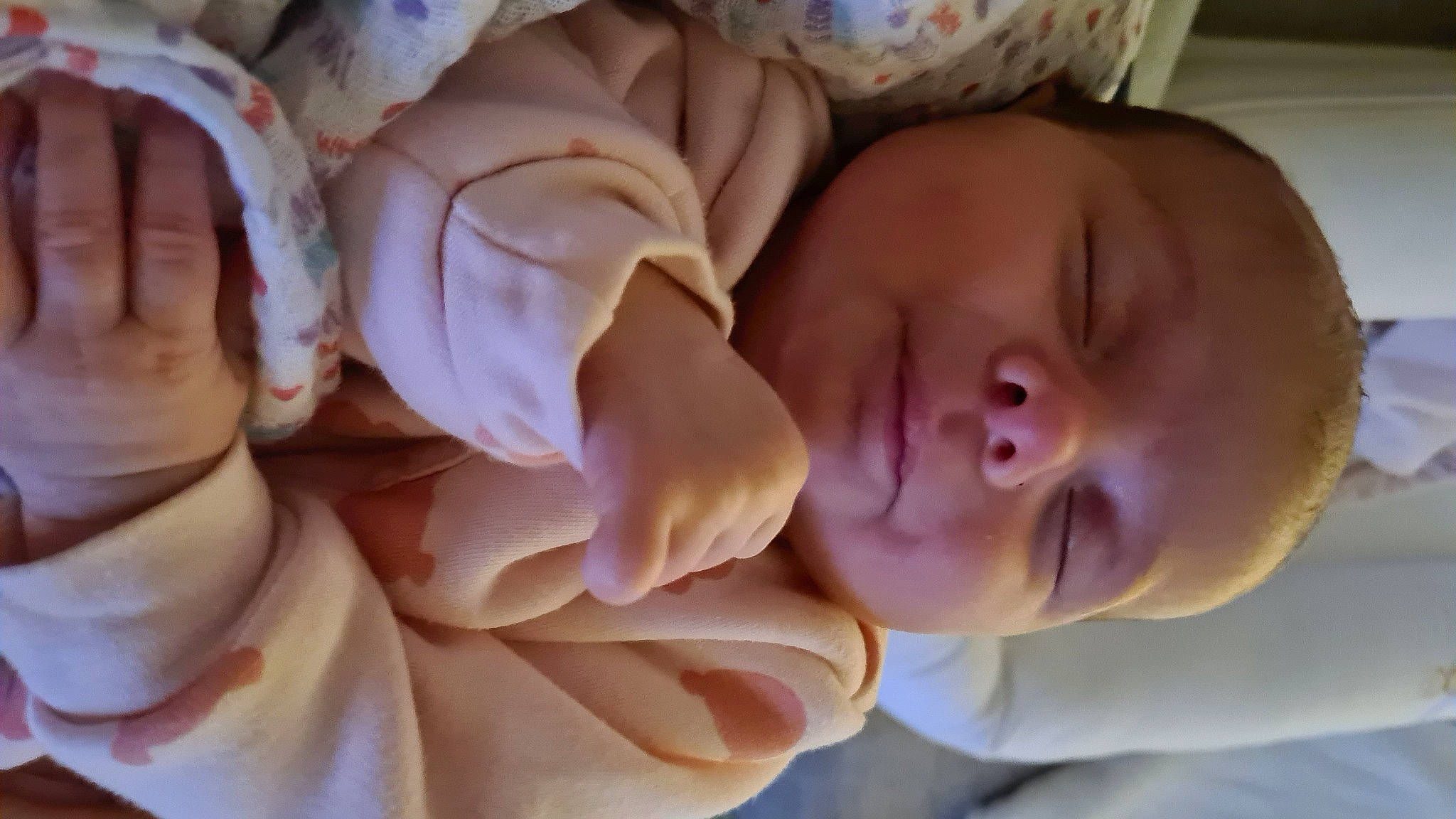 Ambre a rejoint le concours — aidez-le/la à gagner de superbes lots ! baby, baby_toddler_clothing, beauty, cheek, child, close_up, comfort, gesture, happy, nose, peach, person, petal, pink, plant, skin, smile, thumb, toddler, tree